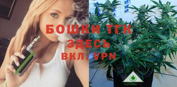 стаф Костерёво