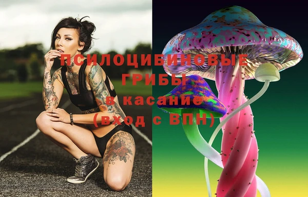 спайс Краснослободск