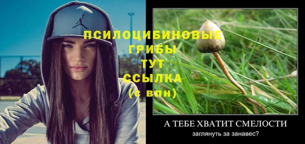 MDMA Premium VHQ Куйбышев