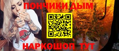 меф Гатчина