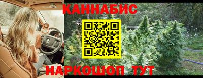 меф Гатчина