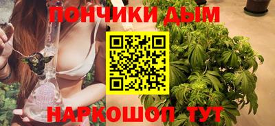 меф Гатчина