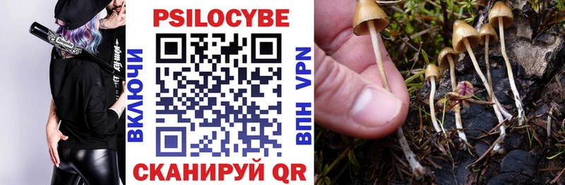 Псилоцибиновые грибы GOLDEN TEACHER  Костомукша 
